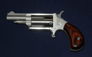 NAA Mini Revolver in .22 Magnum